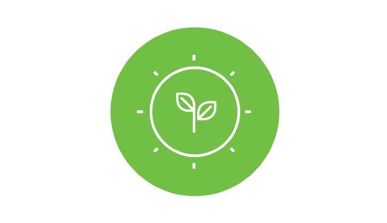  A symbol of sustainability